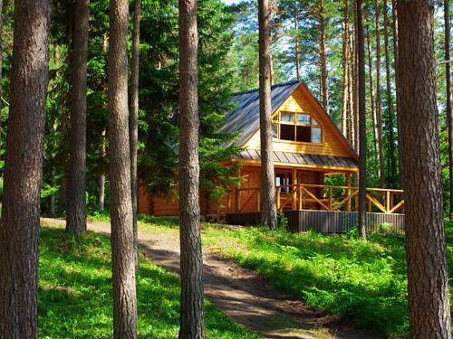 Foto dalla galleria di The Cabin in the Woods a Tegucigalpa