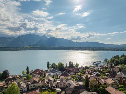 an aerial view of a town next to a lake at Chalet Gaertli in Thun