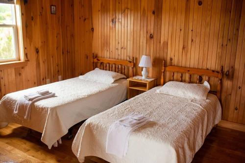 two beds in a room with wood paneled walls at Greenwich View Cottages (Unit #3) in Saint Peters