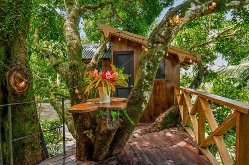 Central Hotel Bocas del Toroにある庭