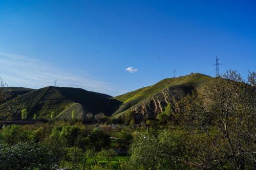  Areni House B&B -  Room  picture :   Tea/Coffee maker    Shower    Bath                           