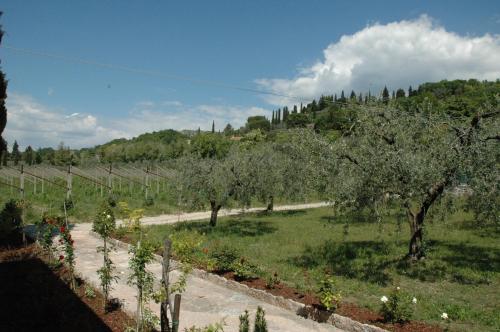 a garden with olive trees and a dirt road at Agriturismo Tenuta la Pergola in Bardolino