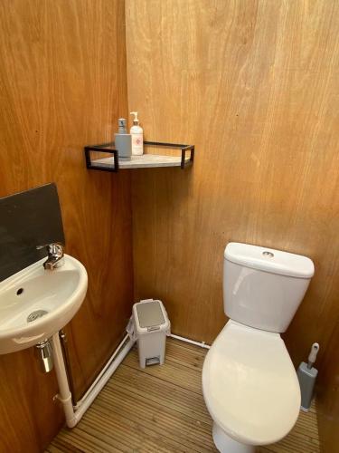 a bathroom with a white toilet and a sink at Hendre Glamping Retreat, The Rabbit Warren in Clydey