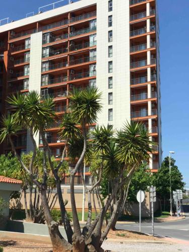 ANIMAR piso en ALGAIDA Oropesa