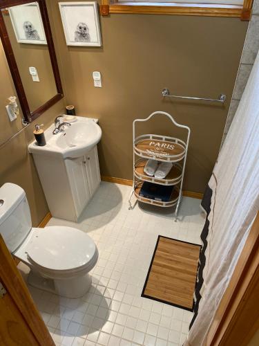 a bathroom with a white toilet and a sink at Country Roads Dwelling in Dundas