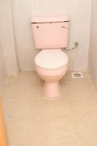 a bathroom with a white toilet in a room at Cosy 1 bedrooms, Hells Gate Moi South Lake Naivasha in Naivasha