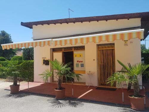 Gallery image of Appartamenti Perla Verde in Cavallino-Treporti