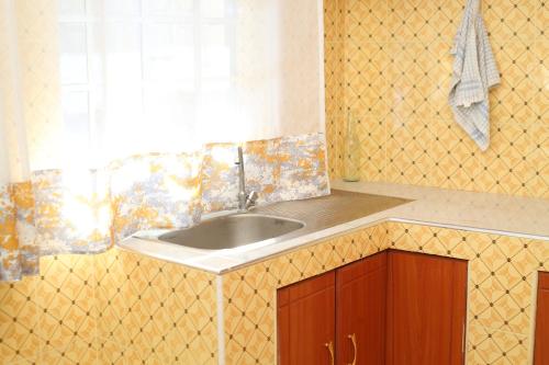 a kitchen with a sink and a window at Cosy 1 bedrooms, Hells Gate Moi South Lake Naivasha in Naivasha