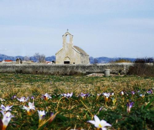 an old church in a field with flowers at Panorama Apartments in Povljana