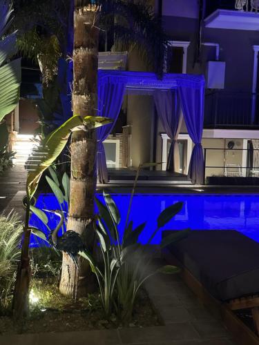 une maison avec un palmier en face d'une piscine dans l'établissement Villetta de Mar, à Civitanova Marche