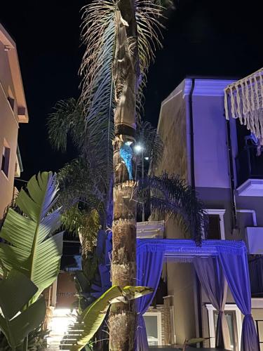 Bâtiment de l'appartement