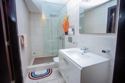 アクラにあるThe Signature Luxury- 2 Bedrooms Apartmentの洗面台、トイレ、シャワー付きのバスルーム
