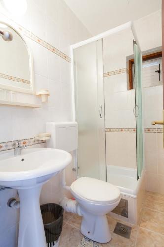 a bathroom with a toilet and a sink and a shower at Vila Mitrovic in Budva