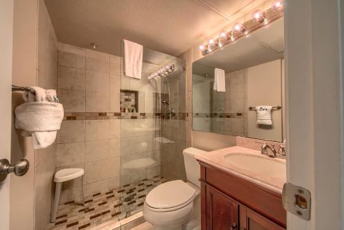 Un baño con inodoro, lavabo y espejo. en RRC A108 Grandmas River Haus, en New Braunfels