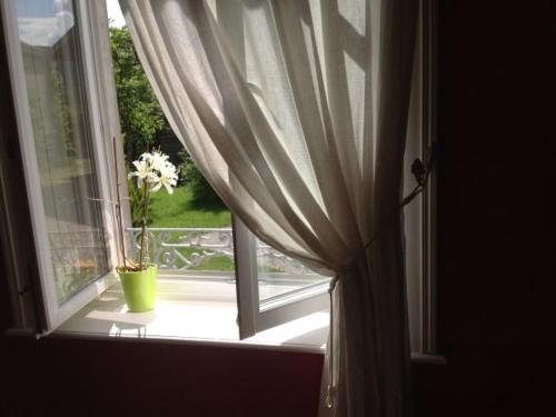 a window with a vase with a flower in it at Maison de caractère avec jardin, terrasse et équipements pour grandes familles au Val-d'Ajol - FR-1-589-169 in Le Val-dʼAjol