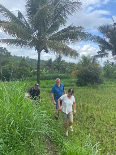 a group of people walking through the tall grass at Padi Bungalow in Tetebatu