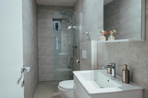 ein Badezimmer mit Waschbecken, Toilette und Dusche in der Unterkunft Holiday house with a parking space Imotski, Zagora - 24482 in Imotski