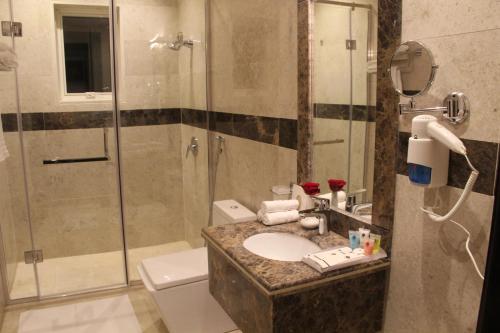 a bathroom with a shower and a sink and a toilet at Le Park Shaqra in Shaqra