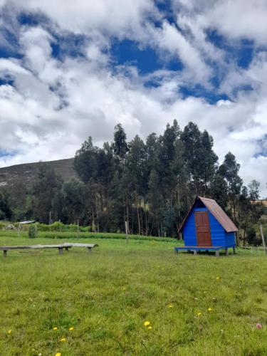 a blue shed in a field with a bench at Camping San Francisco - Cabaña, Teepee & Zona de Camping in Guatavita