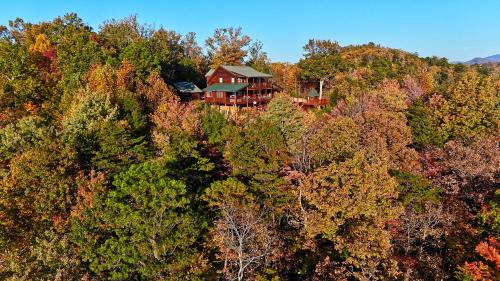 a house on top of a hill in the forest at Grand View in Rocky Grove