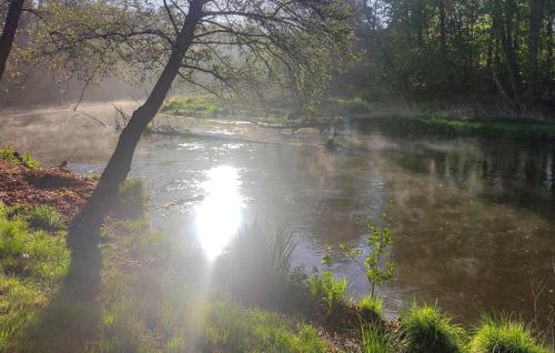 a river with the sun reflecting in the water at Amazing Home In Ustka With Kitchen in Ustka