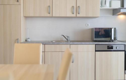 a kitchen with a sink and a microwave at Amazing Apartment In Lukovo With Wifi in Lukovo