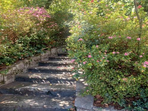 a set of stone stairs with pink flowers at Villa in Valdora with Lake Maggiore Views in Ghiffa