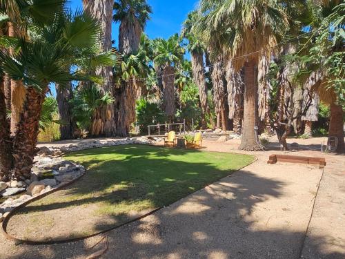 Κήπος έξω από το Tucson's Hot Springs At The Oasis