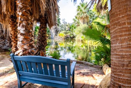 Κήπος έξω από το Tucson's Hot Springs At The Oasis