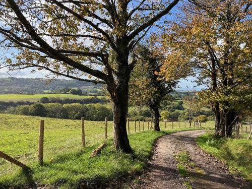 a dirt road in the middle of a field with trees at 4 Bed in Monmouth 42868 in Cwmcarvan