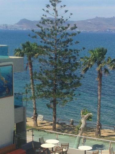 Φυσικό τοπίο κοντά σε αυτό το ξενοδοχείο διαμερισμάτων