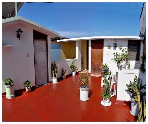 a house with potted plants on the front of it at Hospedaje La Casa Blanca in Urbanizacion Buenos Aires