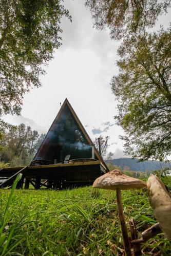 a mushroom in the grass in front of a cabin at Alto Terralis in Minetué