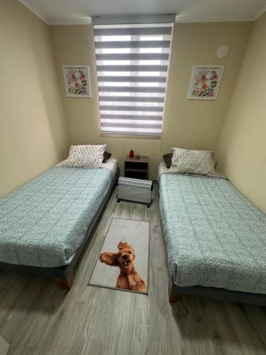 a bedroom with two beds with a dog on a rug at Hermoso departamento 2D 1B, Los Ángeles in Los Ángeles