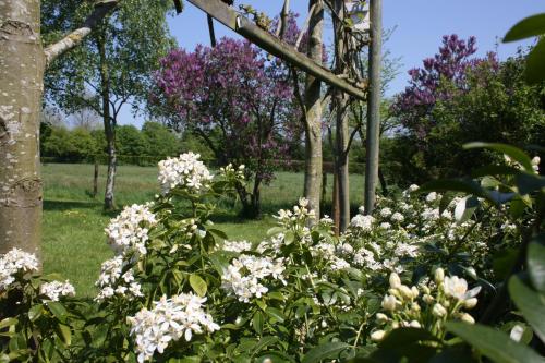 a garden with white flowers and trees in the background at Maison A La Mer in Retranchement