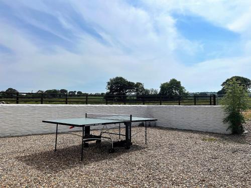 Kemudahan pingpong di 2 bed in Aberaeron 75211 atau berdekatan