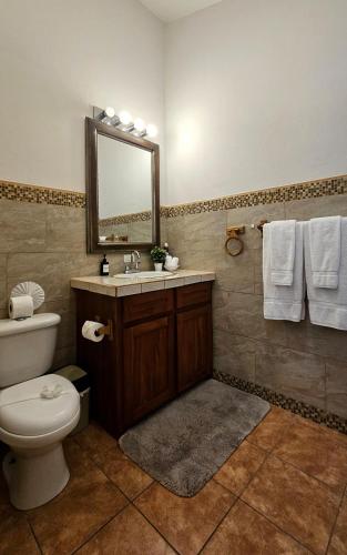 a bathroom with a toilet and a sink and a mirror at Casa Macaw Jungle Cabin w Private pool Wifi and AC in Quepos
