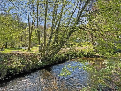 a stream of water with trees on the side at The Old Forge in Exford
