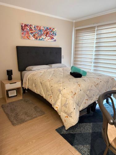 Φωτογραφία από το άλμπουμ του Departamento estudio en el centro de Temuco σε Τεμούκο