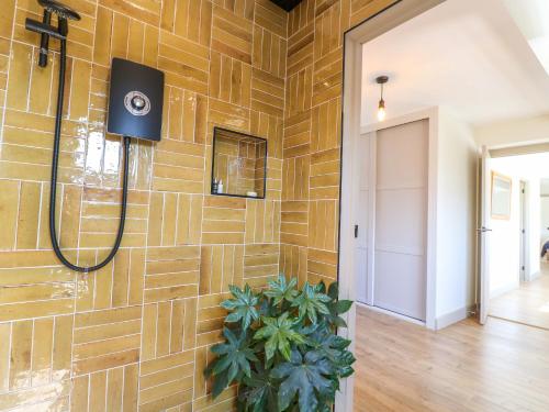 a bathroom with a stone wall with a shower and a plant at Cherry Tree Farm in Chesterfield
