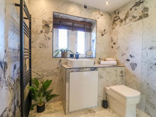 a bathroom with a toilet and a sink and a mirror at Cherry Tree Farm in Chesterfield