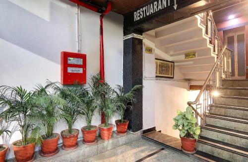 a row of potted plants on a wall with a red box at Townhouse Hotel Vaishnavi Inn in Lucknow