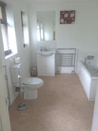 a bathroom with a toilet and a sink and a tub at Ballacowell in Sulby