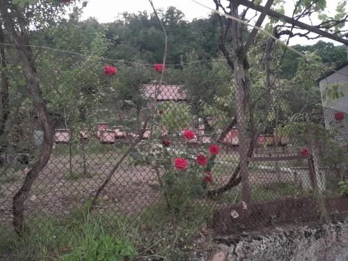 Ảnh trong thư viện ảnh của Guest house Mekvena ở Mek'vena