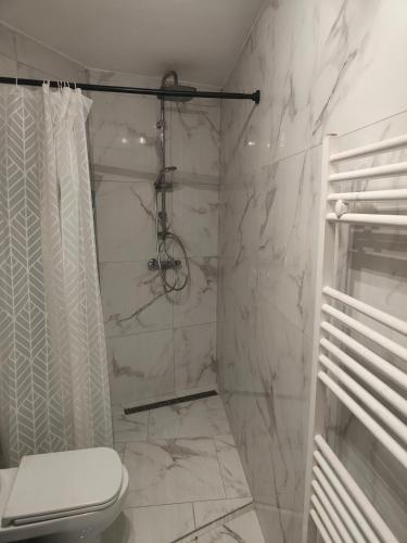 a white bathroom with a shower and a toilet at Bel appartement confortable Mons in Mons