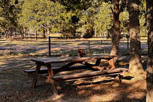 a wooden picnic table in a park with a bird sitting on it at Blitzen - Reindeer Ranch at Round Top in Carmine