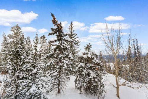 Το Rockridge 49 by Summit County Mountain Retreats τον χειμώνα