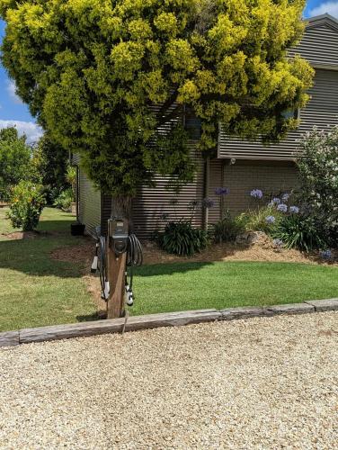 a house with a yard with a tree and a meter at Lilies Lakeside Spa Villa - 2 Bedroom in Lovedale