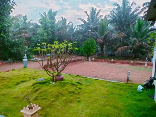 a small garden with a small tree in the grass at MVR Home Stay in Seringapatam
