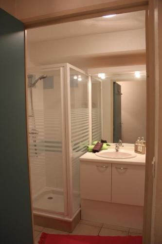 une salle de bain avec douche et lavabo dans l'établissement Les Cyclades, à Arles